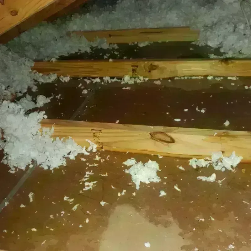 Attic Water Damage in Old Town, ME